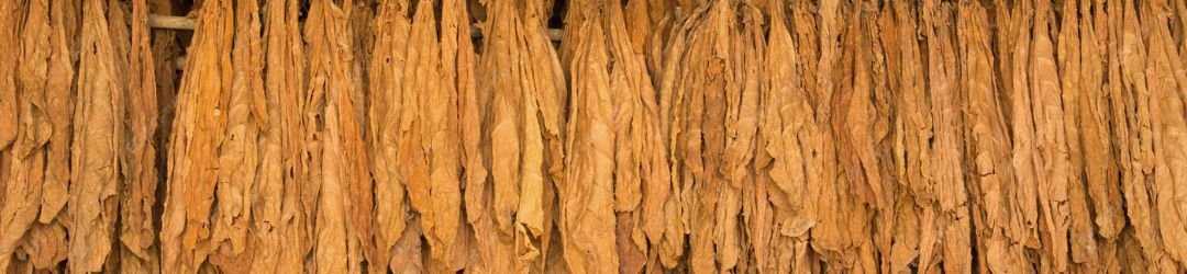 Rolling Papers and Hand Rolling Accessories in Dubai UAE – SmokersHub