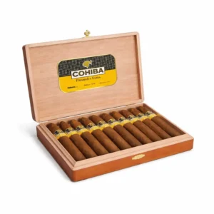 Cohiba Piramides Extra Tubos torpedo Cuban cigar Dubai premium cigars UAE