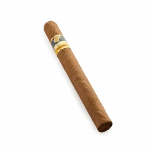 Cohiba Esplendidos Cuban cigar luxury Churchill cigar Dubai premium cigars UAE