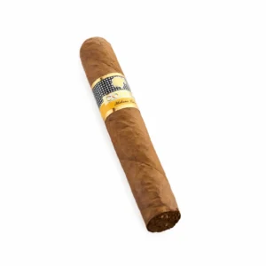 Cohiba Robustos Cuban cigar premium Robusto Dubai luxury cigars UAE