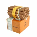 Cohiba Siglo II Cuban cigar Dubai premium Mareva format cigar